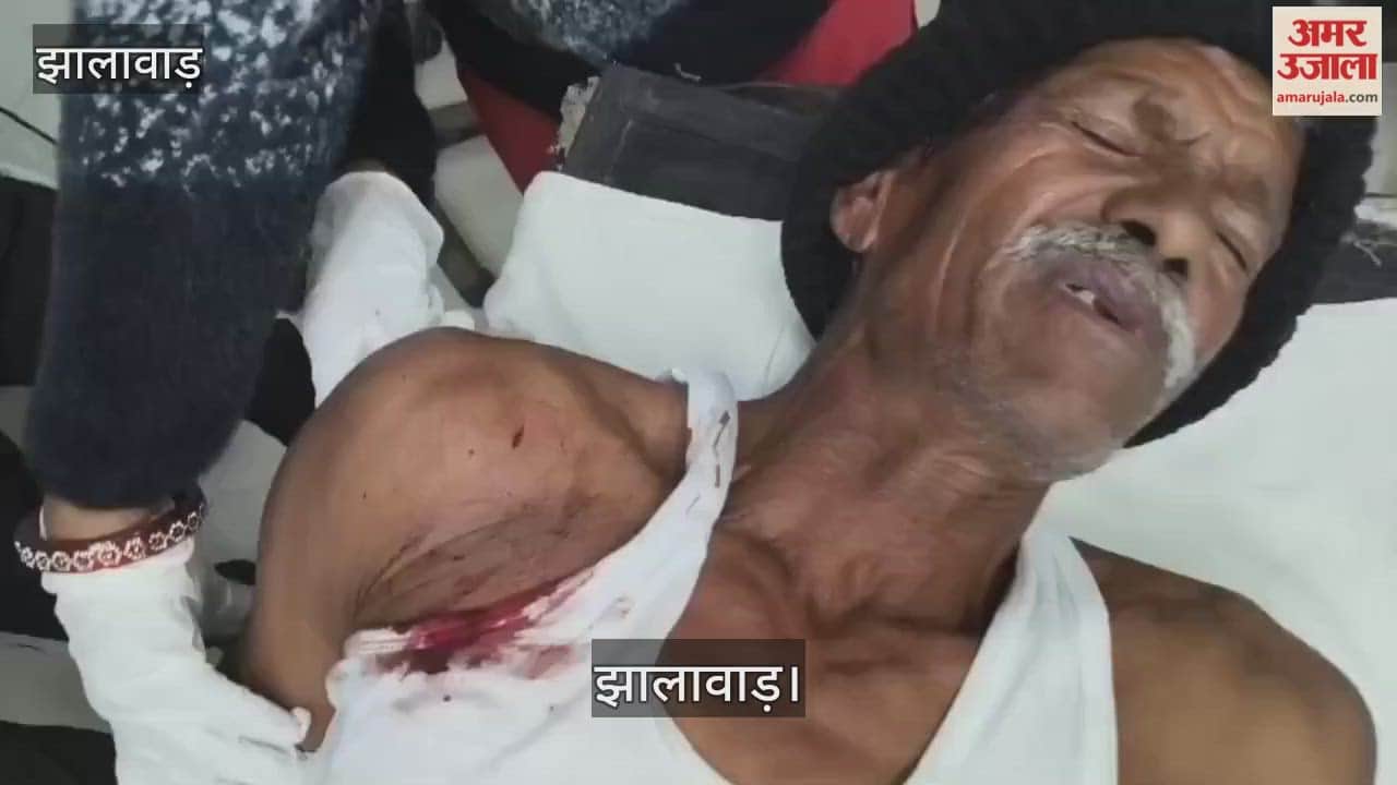 jhaalaavaad jile ke rundalav mein tendue ne kiya kis par hamala ghaayal