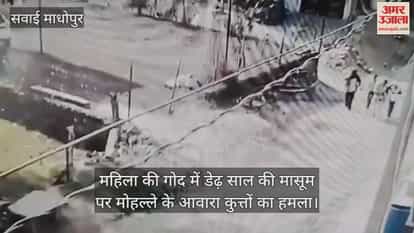 Sawai Madhopur News: Stray Dogs Attack One-and-a-Half-Year-Old Child in Woman’s Arms, Residents Angry