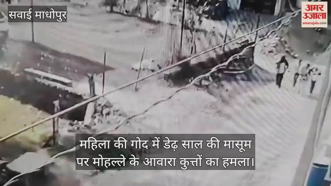 Sawai Madhopur News: Stray Dogs Attack One-and-a-Half-Year-Old Child in Woman’s Arms, Residents Angry