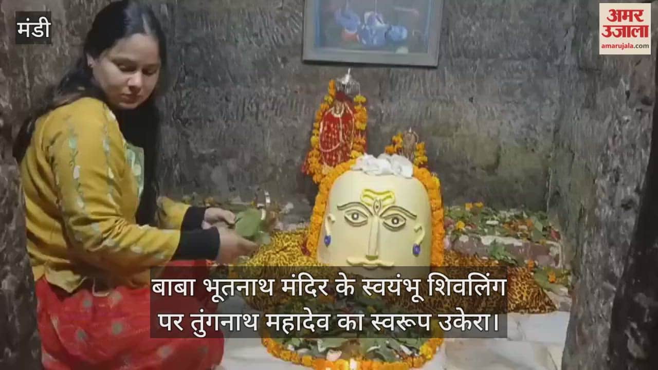 The form of Tungnath Mahadev is carved on the self-manifested Shiva lingam at Baba Bhutnath Temple