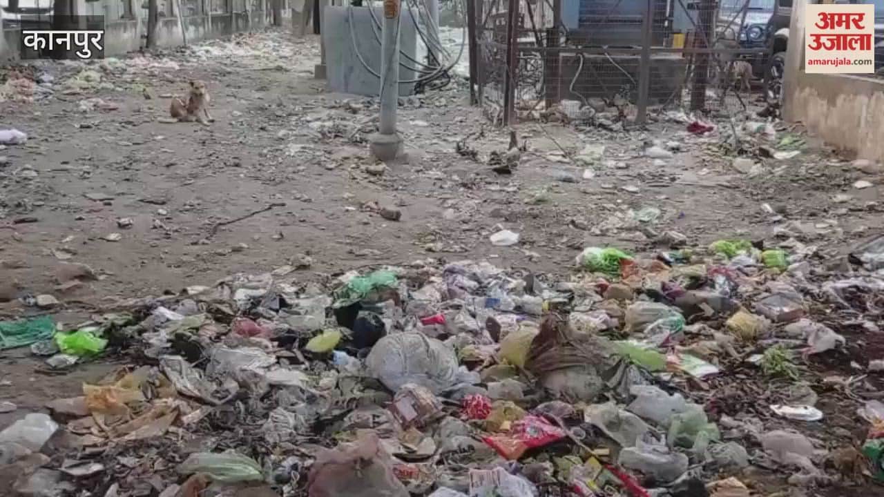 Kanpur: KESCO encroaches on green belt, litter piles up