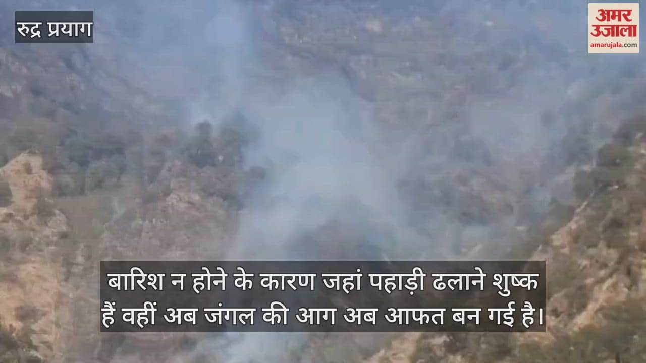 massive fire broke out in the Buruwa and Badrasu Shersi area of  Madmaheshwar Valley Rudraprayag Video News