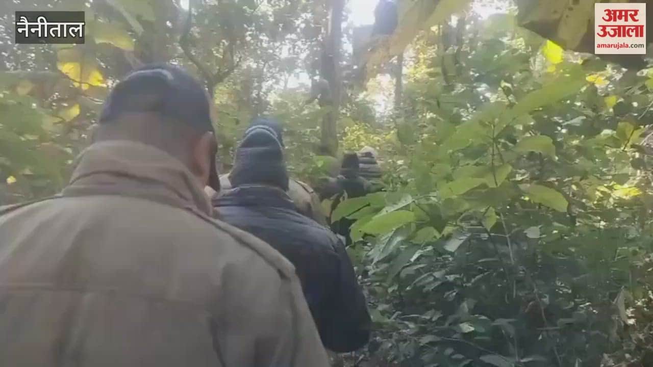 A young man died in a tiger attack in the Gulersiddh forest of Ramnagar