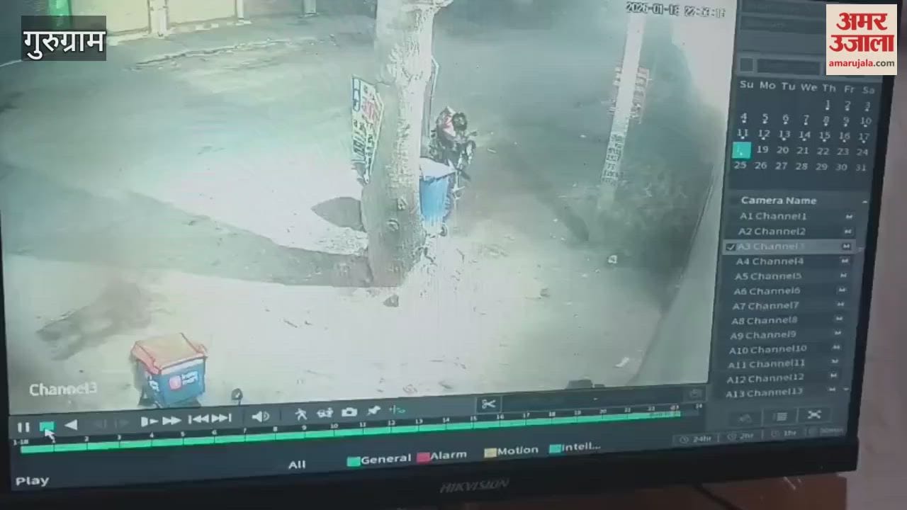 delivery boy standing on roadside was crushed by Scorpio car in Gurugram