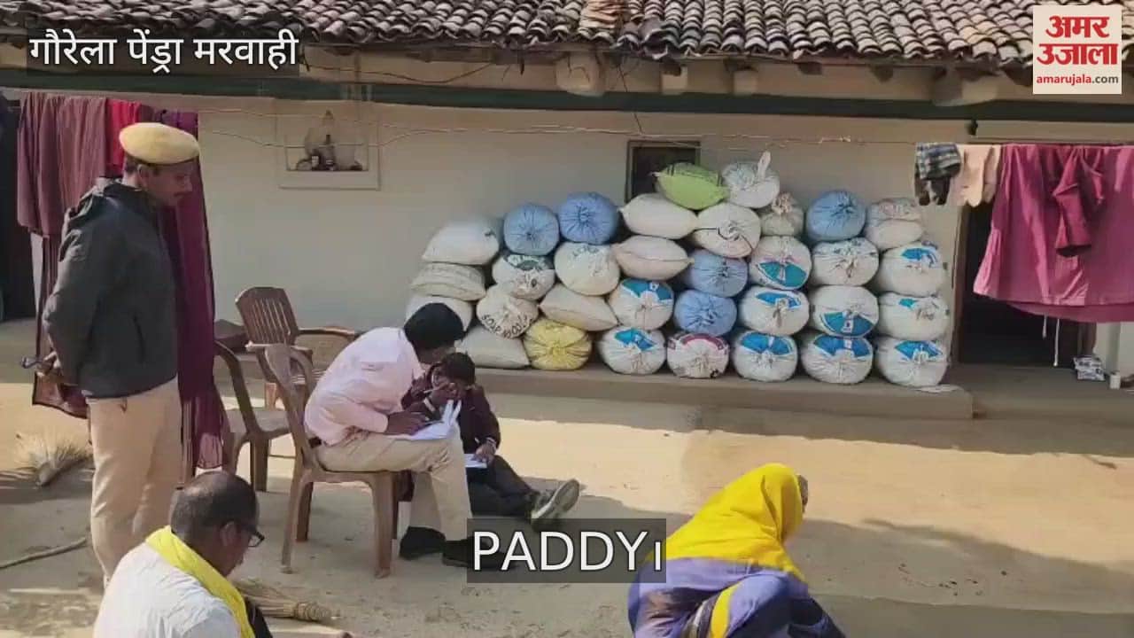 paddy