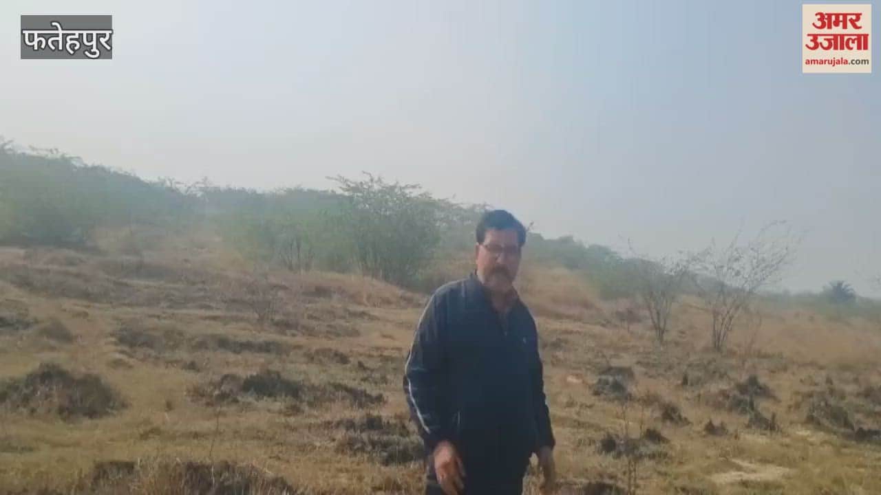 Fatehpur: One lakh saplings brought for planting destroyed in the ravines of the Rind River
