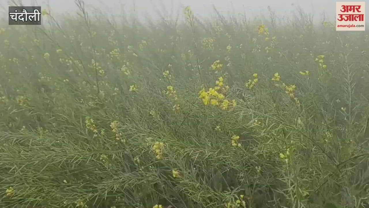 After three hours of dense fog in Tanda Kalan area sun finally came out