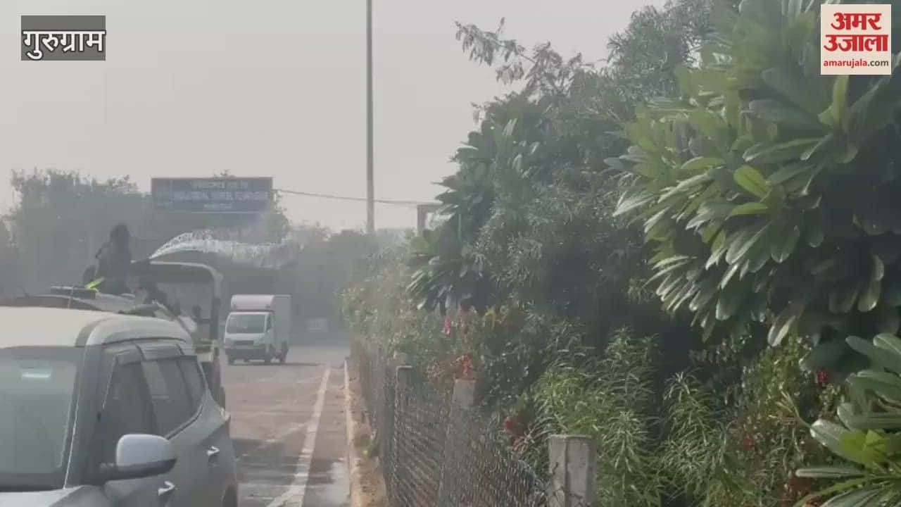 Water sprayed on trees as air quality worsens in Manesar in Gurugram