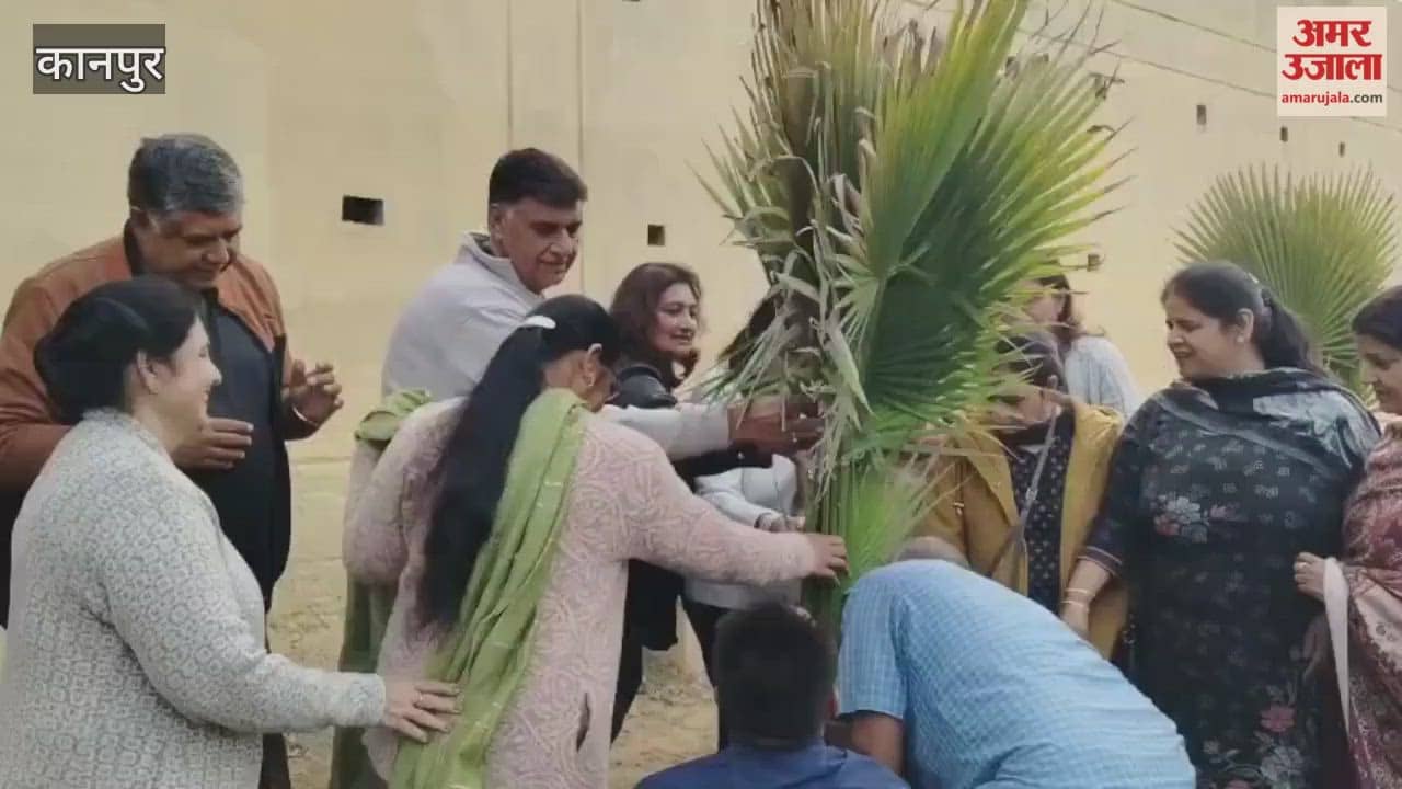 Kanpur: 3000 saplings planted in Dada Nagar
