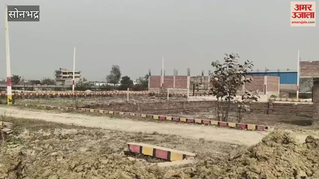 Unauthorized and arbitrary plotting of land at headquarters