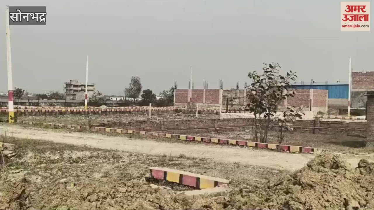 Unauthorized and arbitrary plotting of land at headquarters