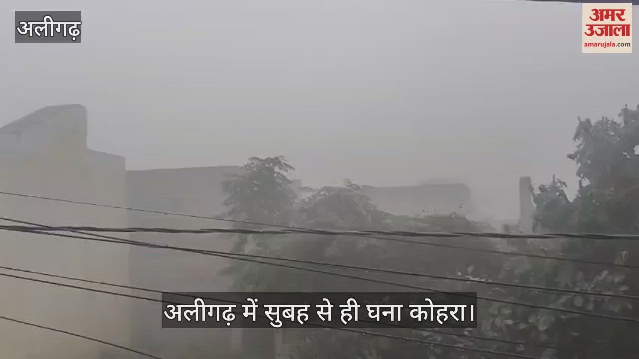 अलीगढ़ में सुबह से ही घना कोहरा