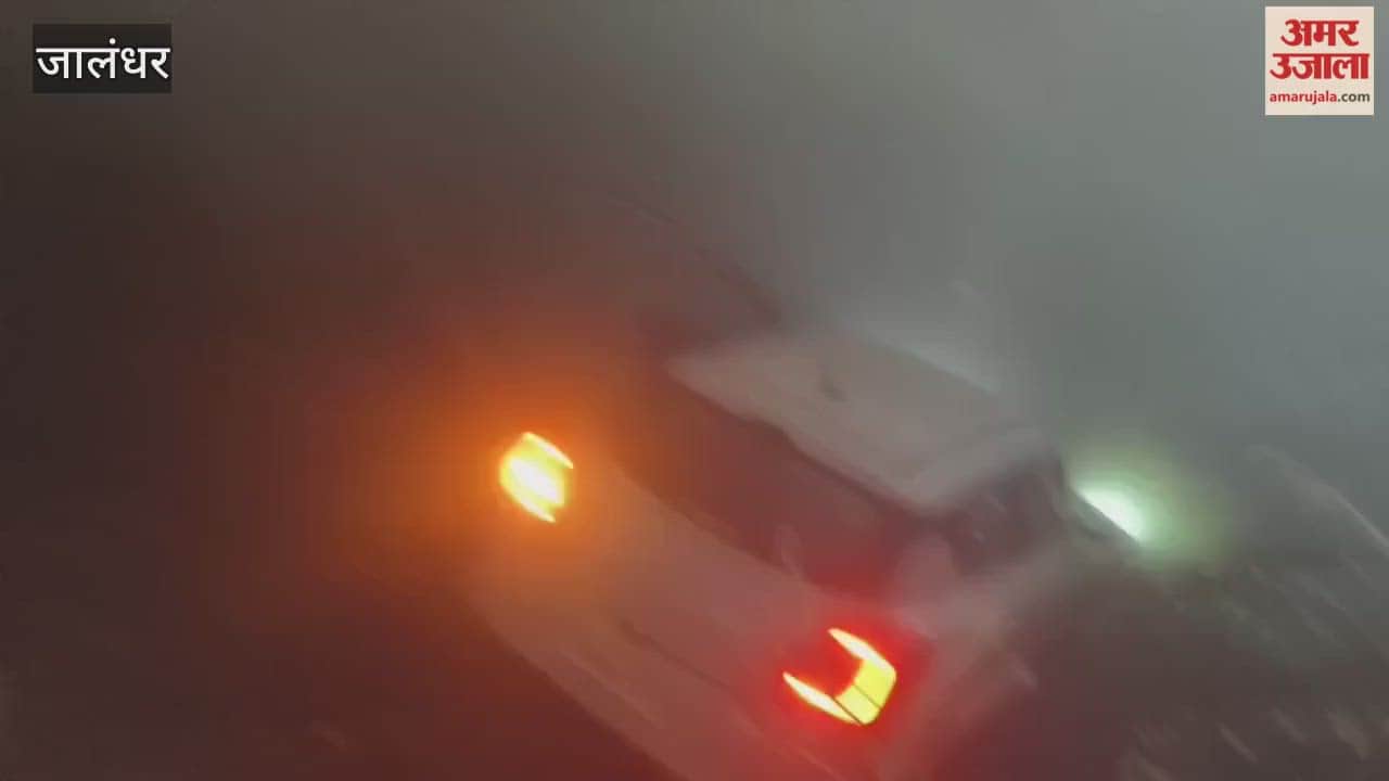 Car falls into canal due to fog in Jalandhar