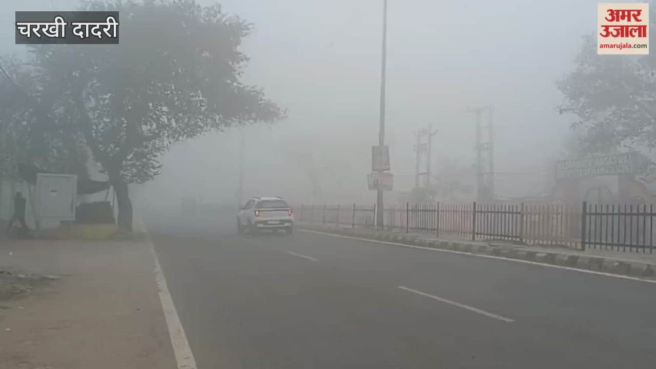 Charkhi Dadri district was enveloped in a blanket of fog and mist since early morning, disrupting daily life