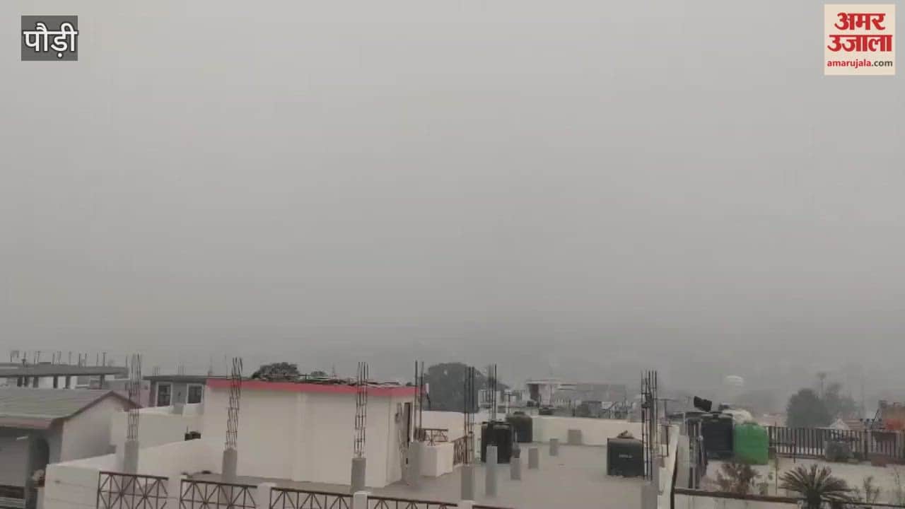 Weather: The fog had not cleared in Srinagar even by 10 am, and people remained indoors due to the cold.