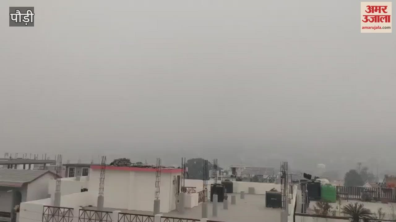 Weather: The fog had not cleared in Srinagar even by 10 am, and people remained indoors due to the cold.
