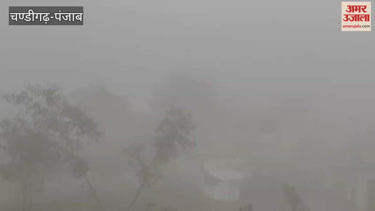 day began with dense fog in Phagwara
