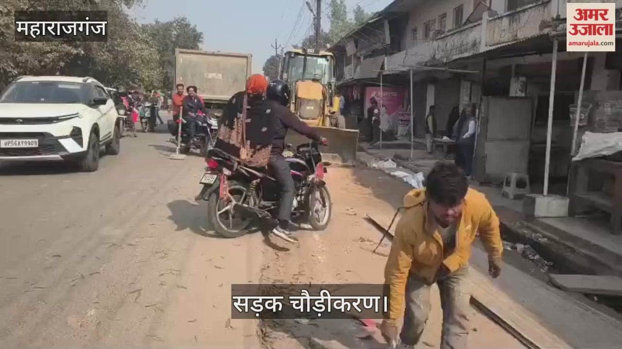 Trees felled for road widening