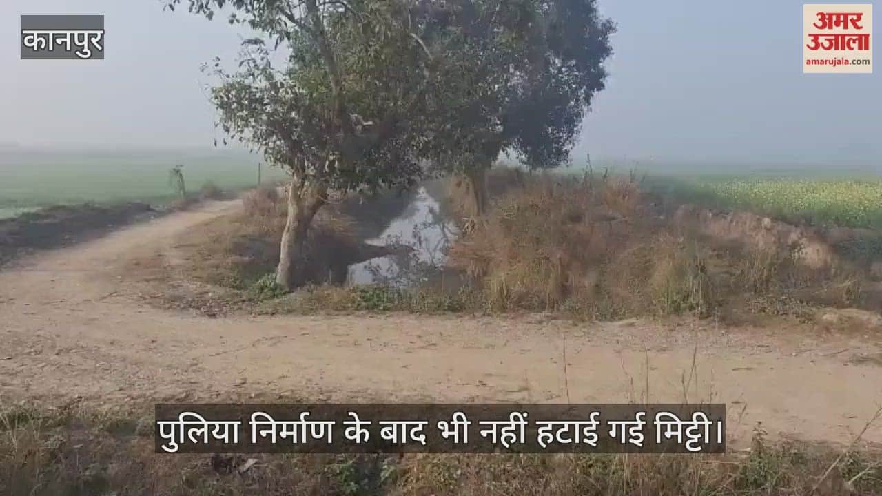 कानपुर: पुलिया तो बन गई…पर माइनर खोलना भूल गए जिम्मेदार; प्यासे रह गए पासीखेड़ा के खेत