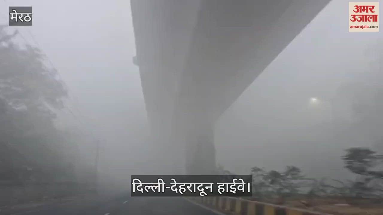 Meerut: Life disrupted due to fog