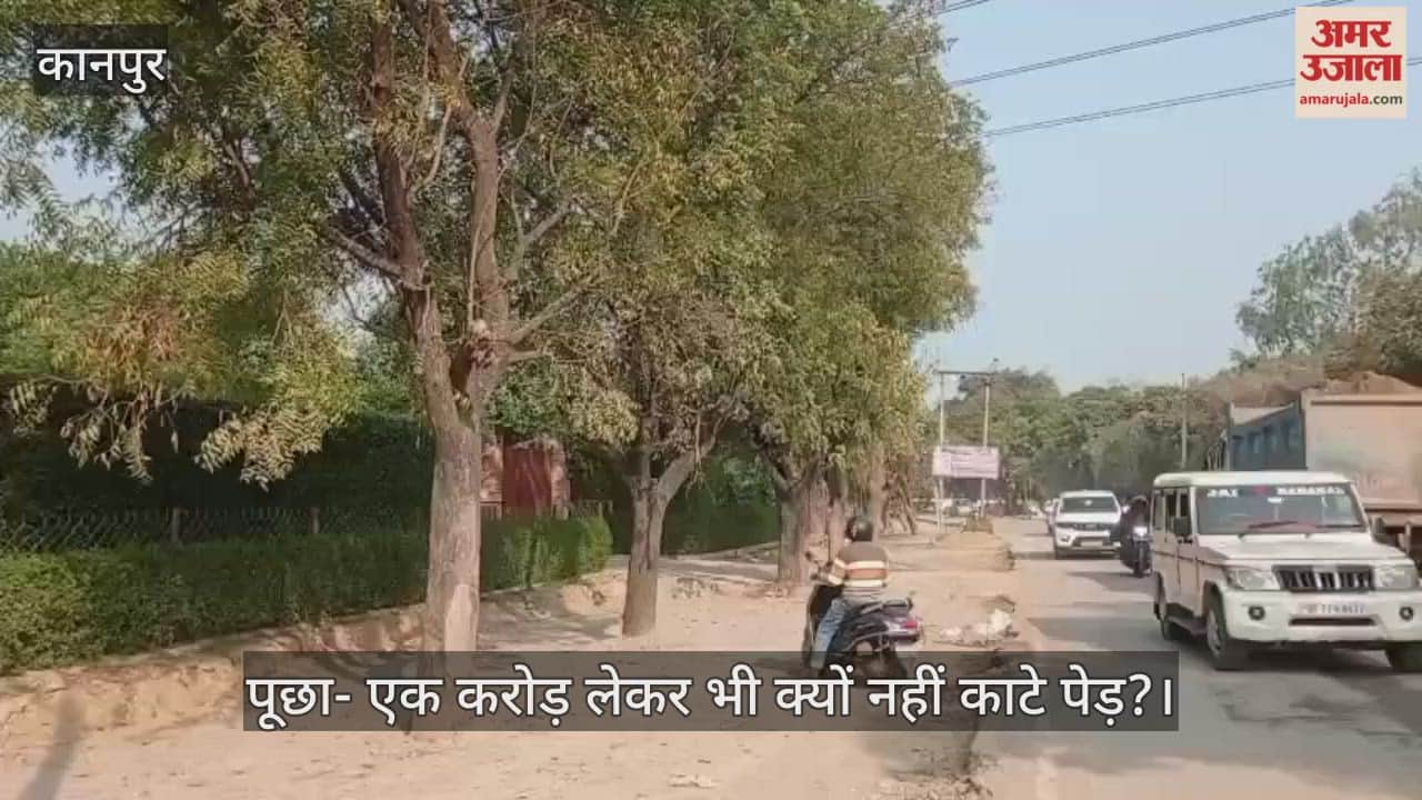 कानपुर: मंधना-बिठूर रोड चौड़ीकरण में देरी पर डीएम नाराज; वन विभाग को लगाई फटकार