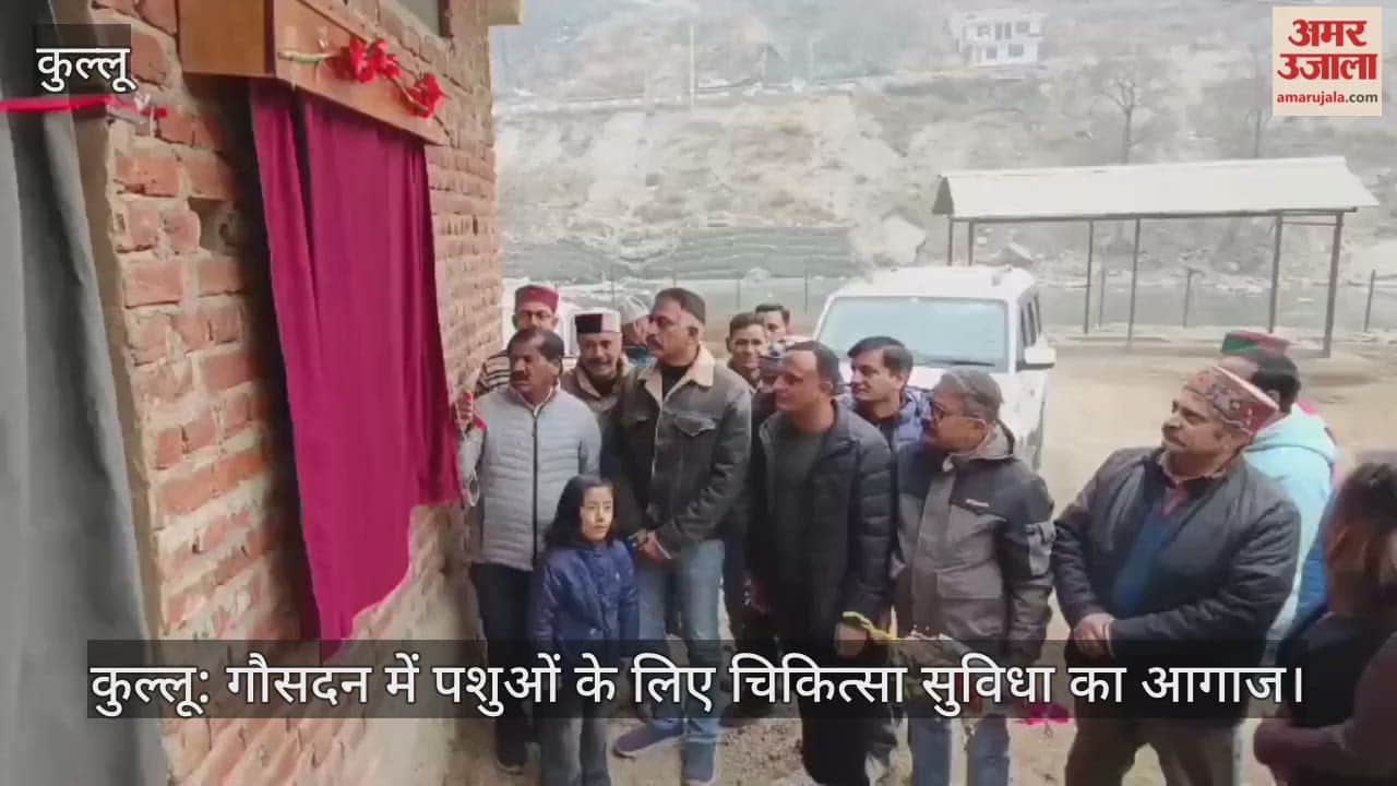 Kullu: Medical facilities for animals started in Gausadan