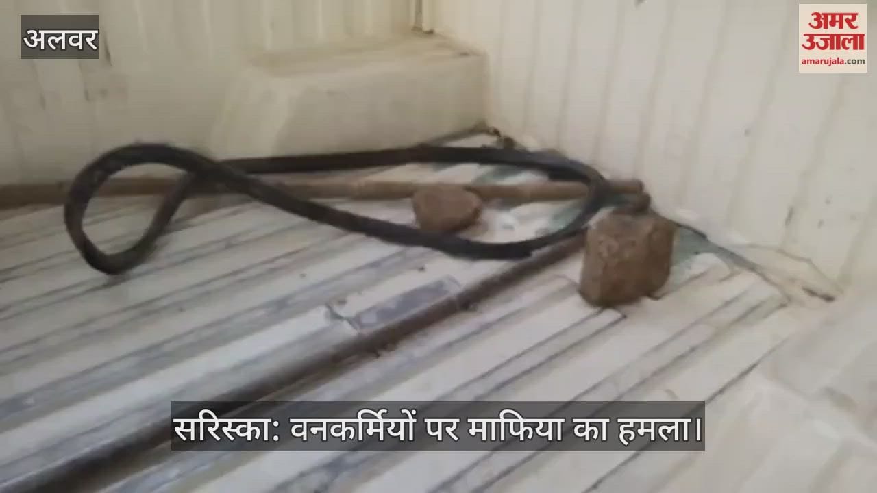 Alwar Timber mafia in Sariska attacks forest department team  posing  threat to safety of  tigress and cubs