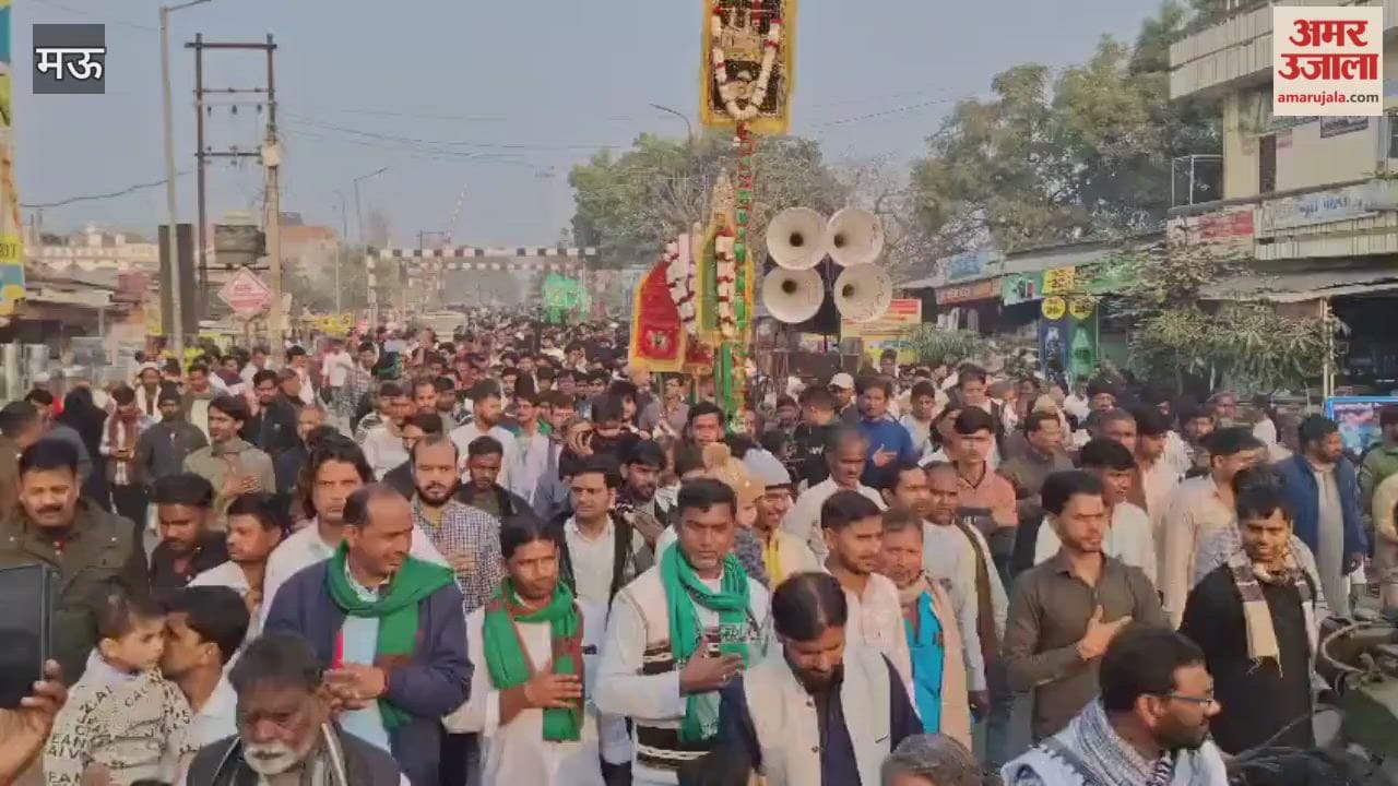 Local and outside religious groups performed lamentations in Duldul and Alam processions