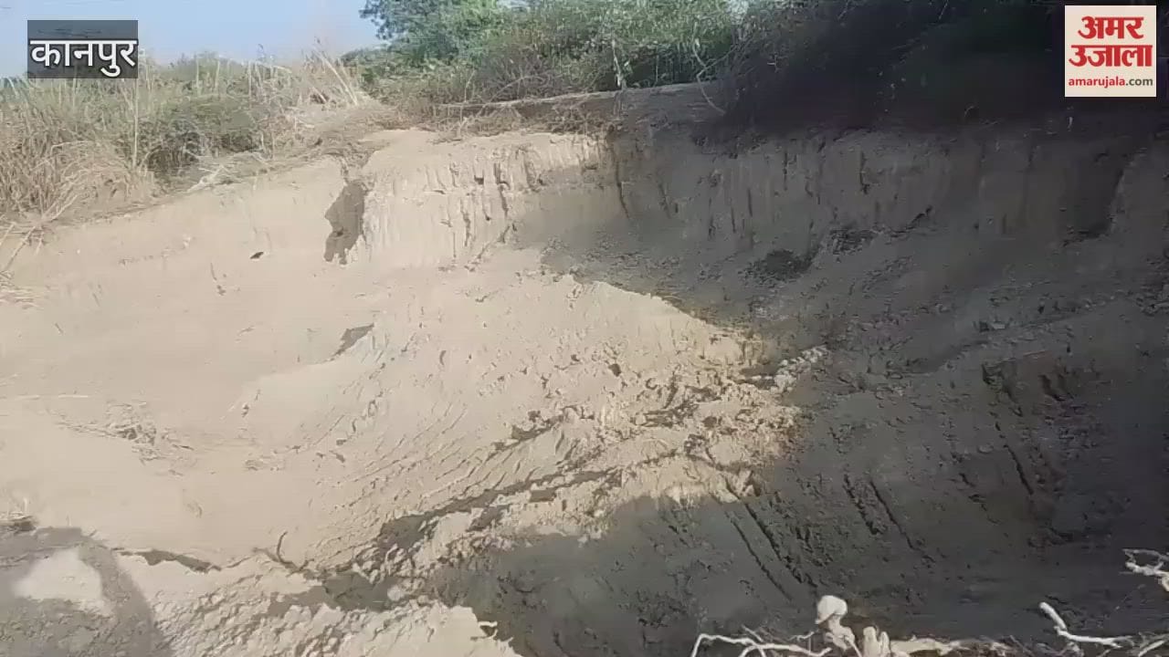 mining mafia dug up and carried away hundreds of dump trucks full of soil from the pond