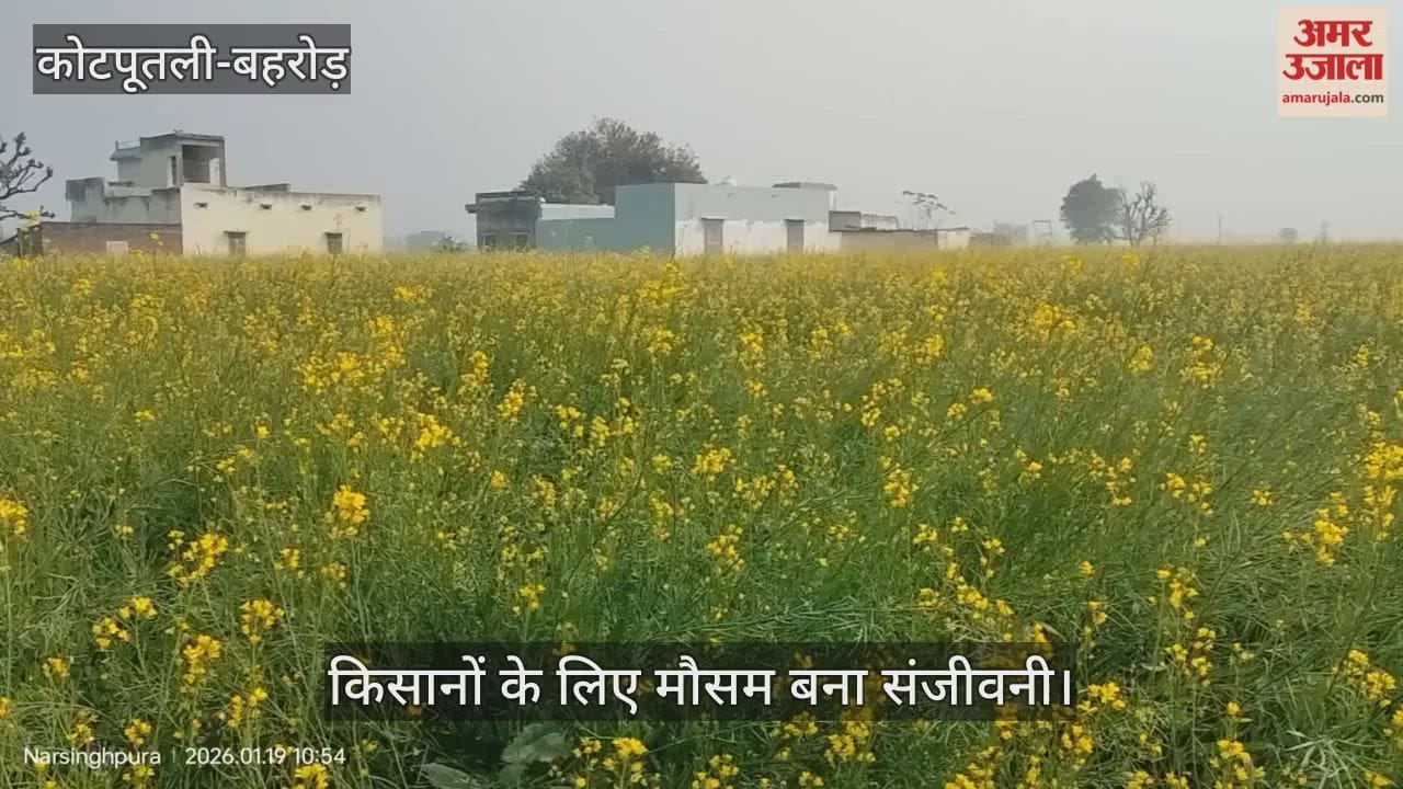 Rural life disrupted due to cold and fog, weather becomes lifeline for farmers