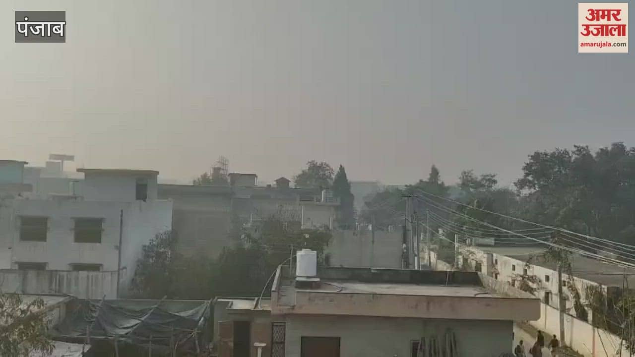 The sun is shining in Phagwara, and the feeling of spring is in the air.