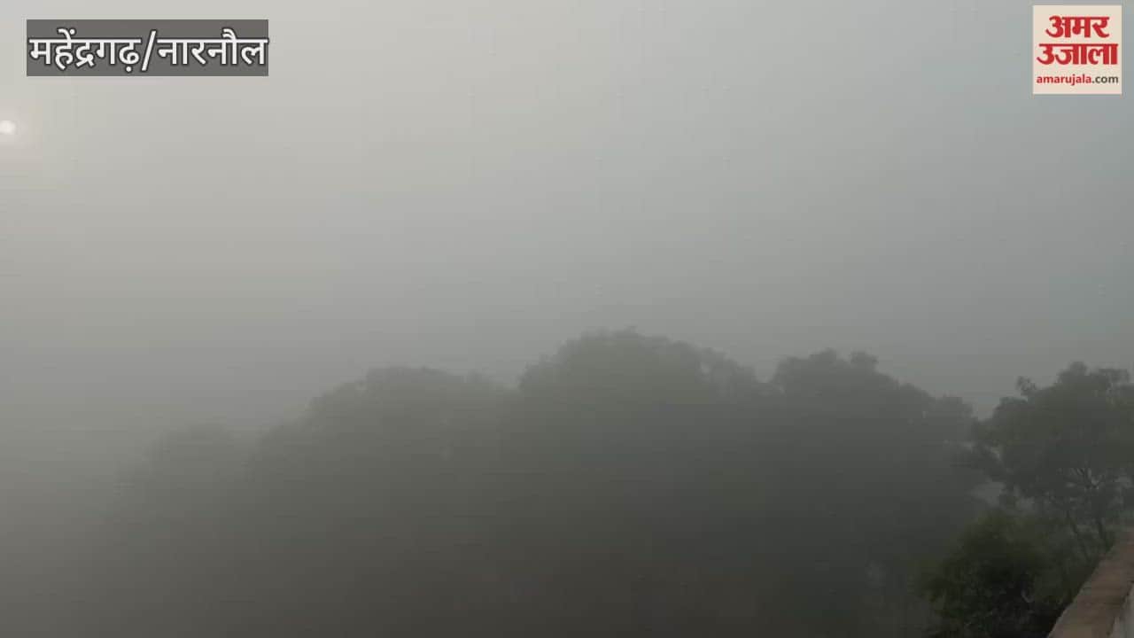 Dense fog in Narnaul