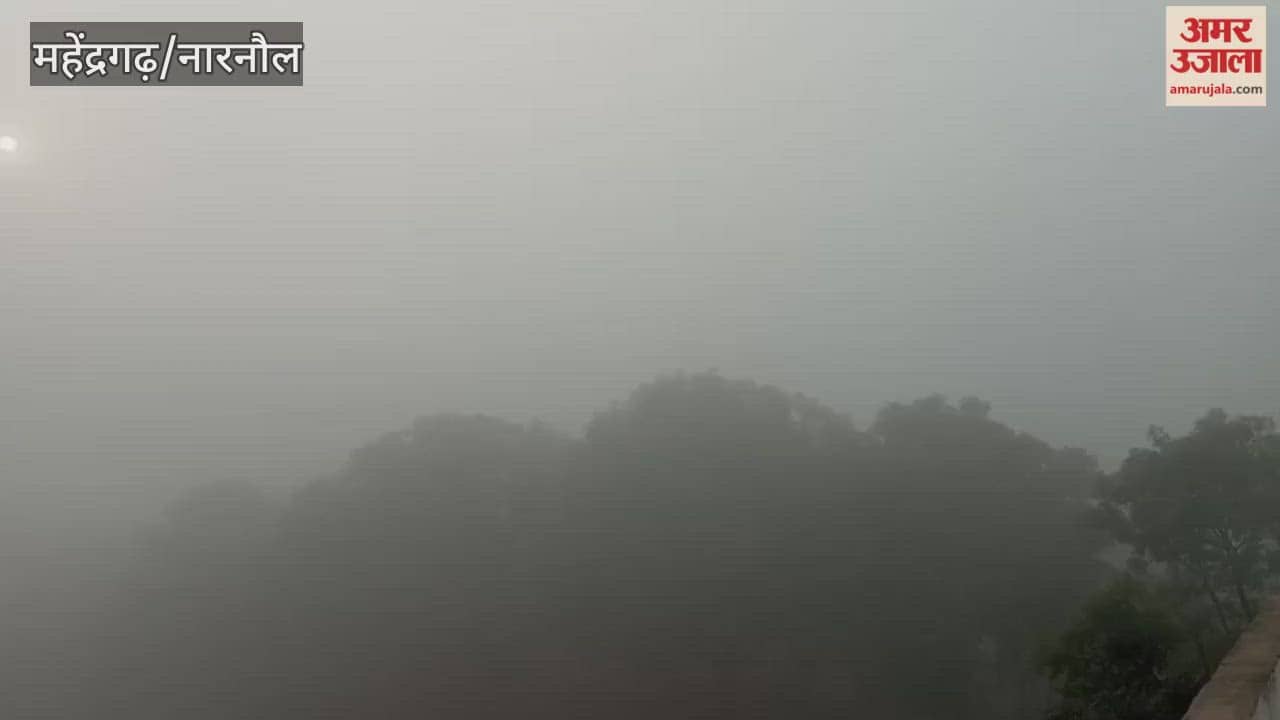 Dense fog in Narnaul