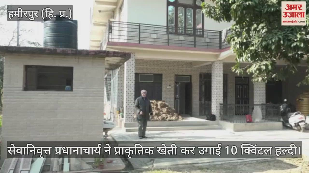 retired principal cultivated 10 quintals of turmeric using natural farming methods and received this much money per kilogram.