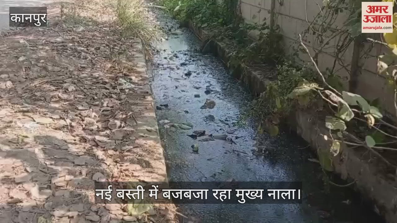 कानपुर: कुरसौली नाले में गंदगी का अंबार, बदबू से आमजन परेशान, जल्द समाधान की मांग