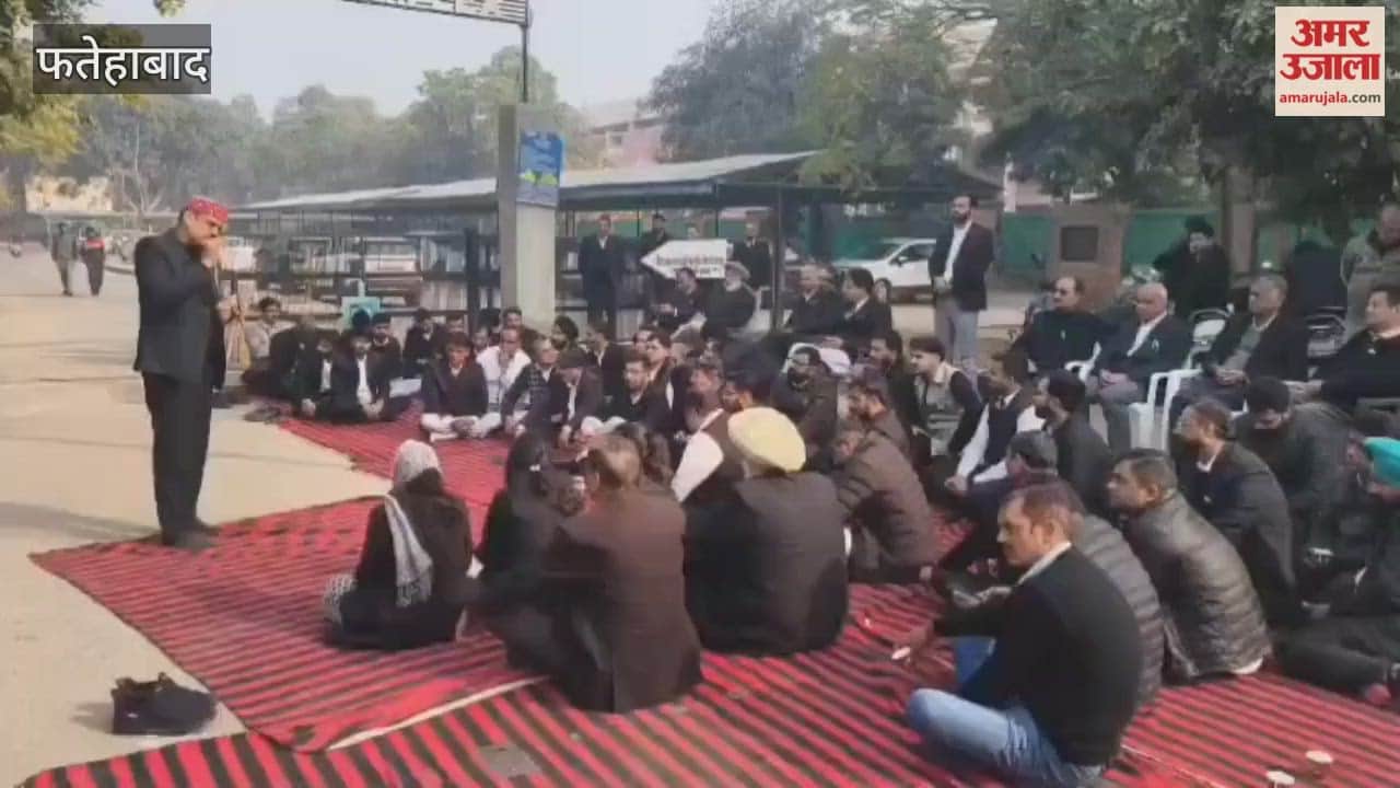 bar association strike