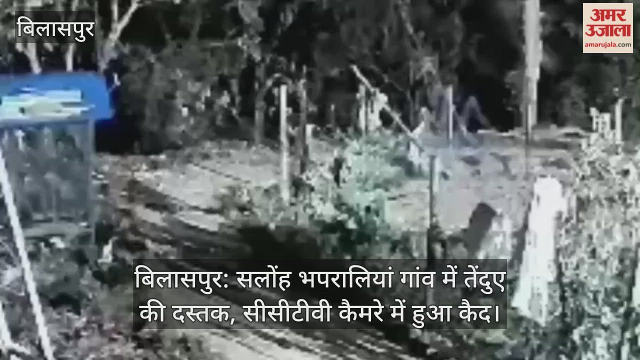 Bilaspur: A leopard was spotted in Saloh Bhapralian village, and the incident was captured on CCTV camera.