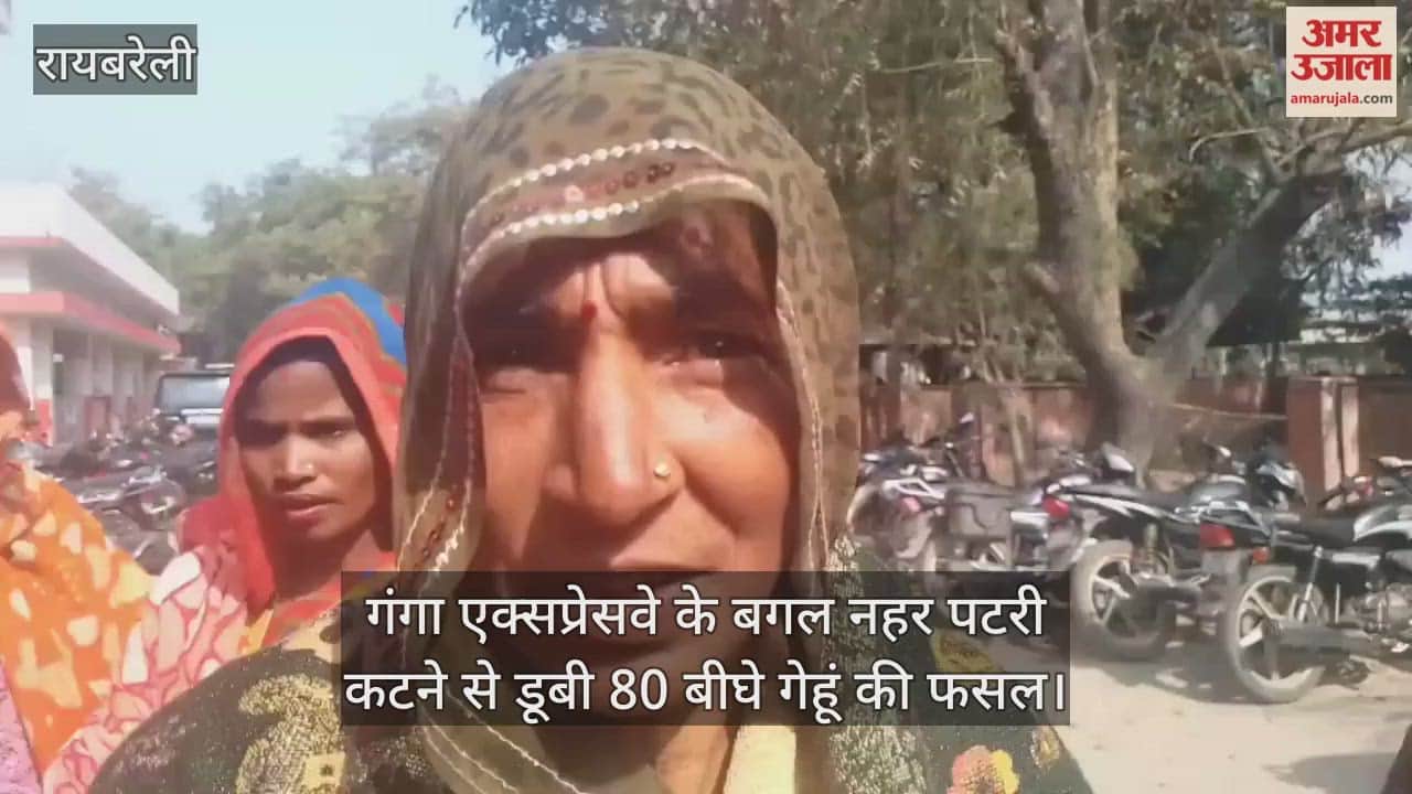 Video: रायबरेली...गंगा एक्सप्रेसवे के बगल नहर पटरी कटने से डूबी 80 बीघे गेहूं की फसल