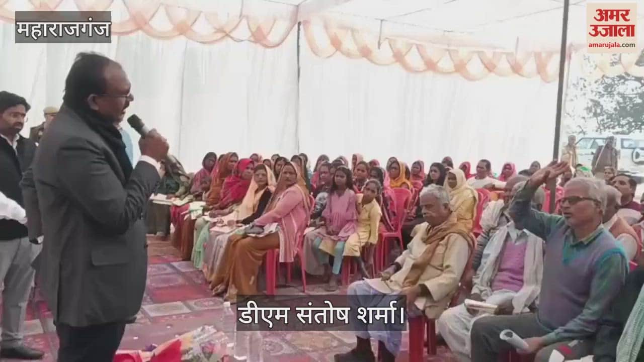 DM started a special campaign to determine the shares of the plots.