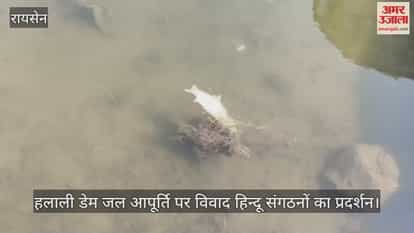 Raisen News: Protests intensify in Raisen over Halali Dam water.