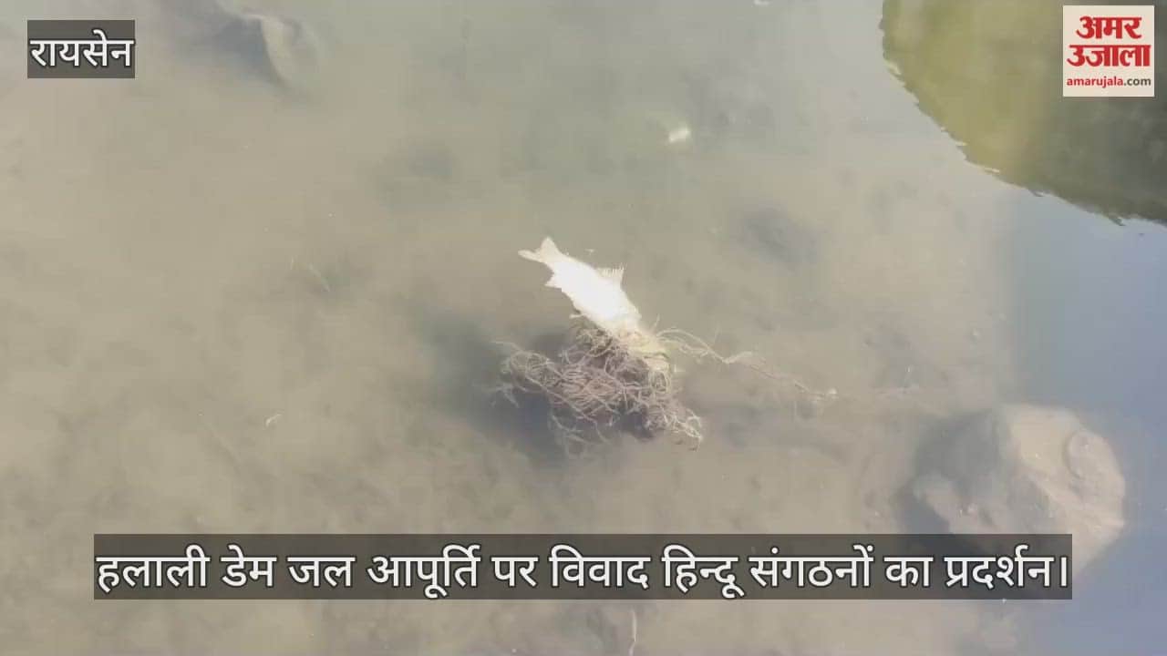 Raisen News: Protests intensify in Raisen over Halali Dam water.