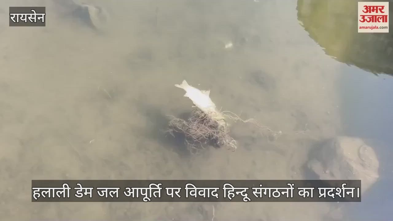 Raisen News: Protests intensify in Raisen over Halali Dam water.