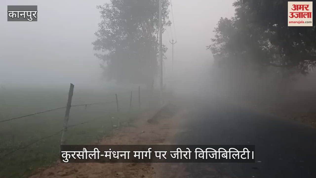 कानपुर में जनवरी की विदाई बेला में भी पॉकेट फॉग का पहरा, तिलहन की फसल पर मंडराया संकट