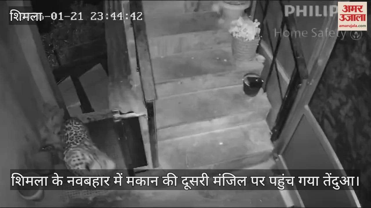 leopard reached the second floor of a house in Navbahar, Shimla; CCTV footage has emerged.