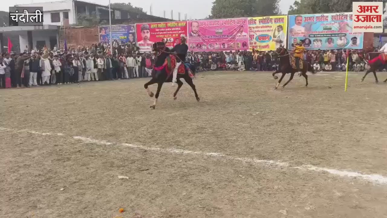 Revsa horse wins horse racing competition cheers erupt in stadium