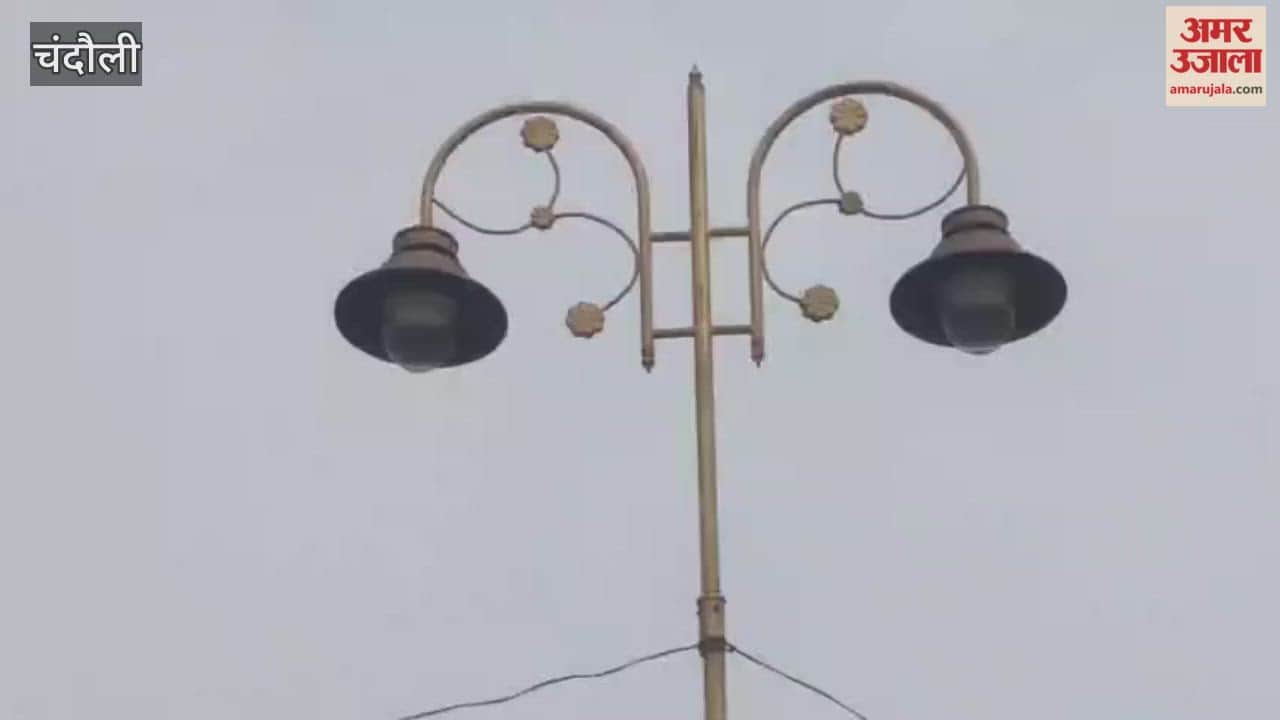 LED lights on Padav-Ramnagar four-lane road keep switching on and off day and night