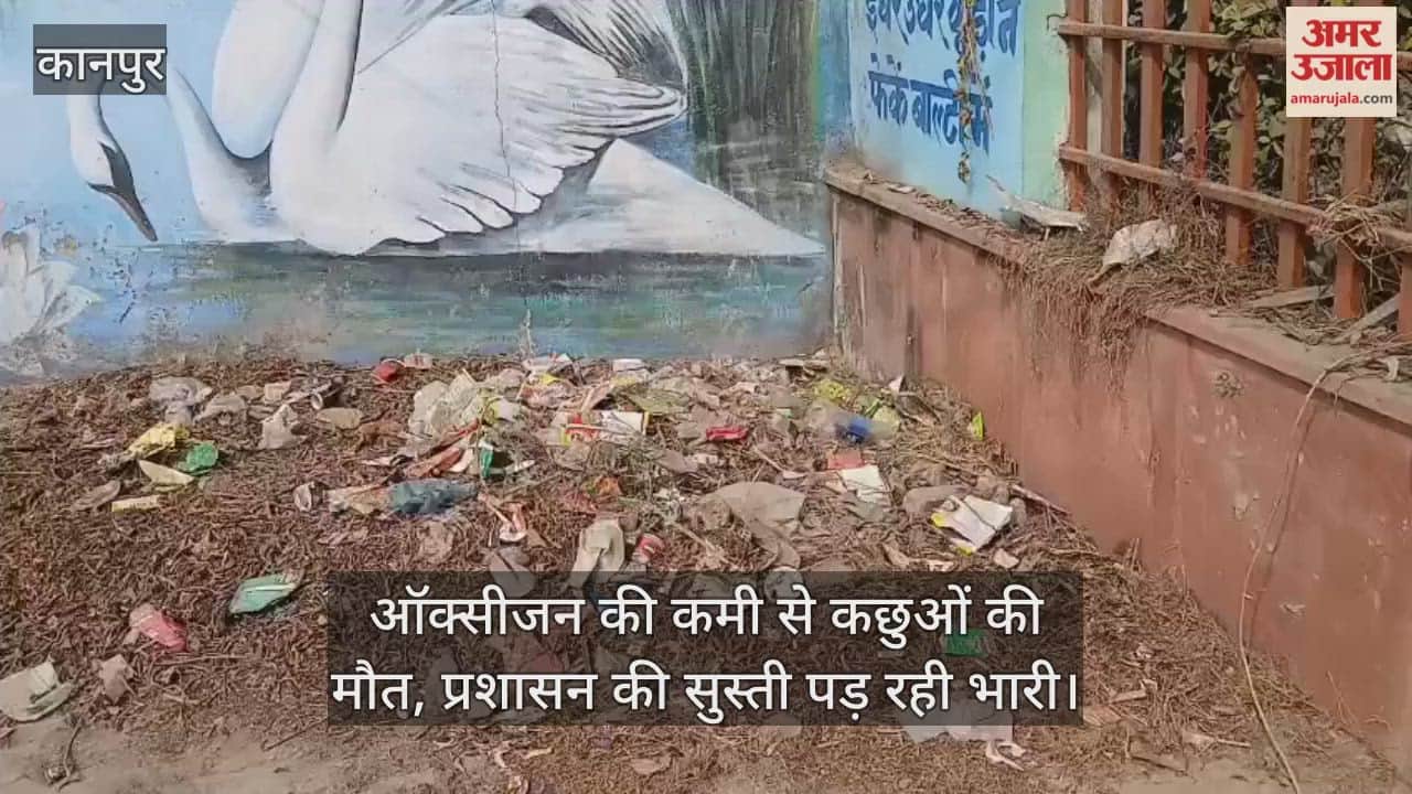 पनकी में सिस्टम ने घोंटा कछुओं का दम, दो महीने से खराब पंप ने सुखाया प्राचीन तालाब