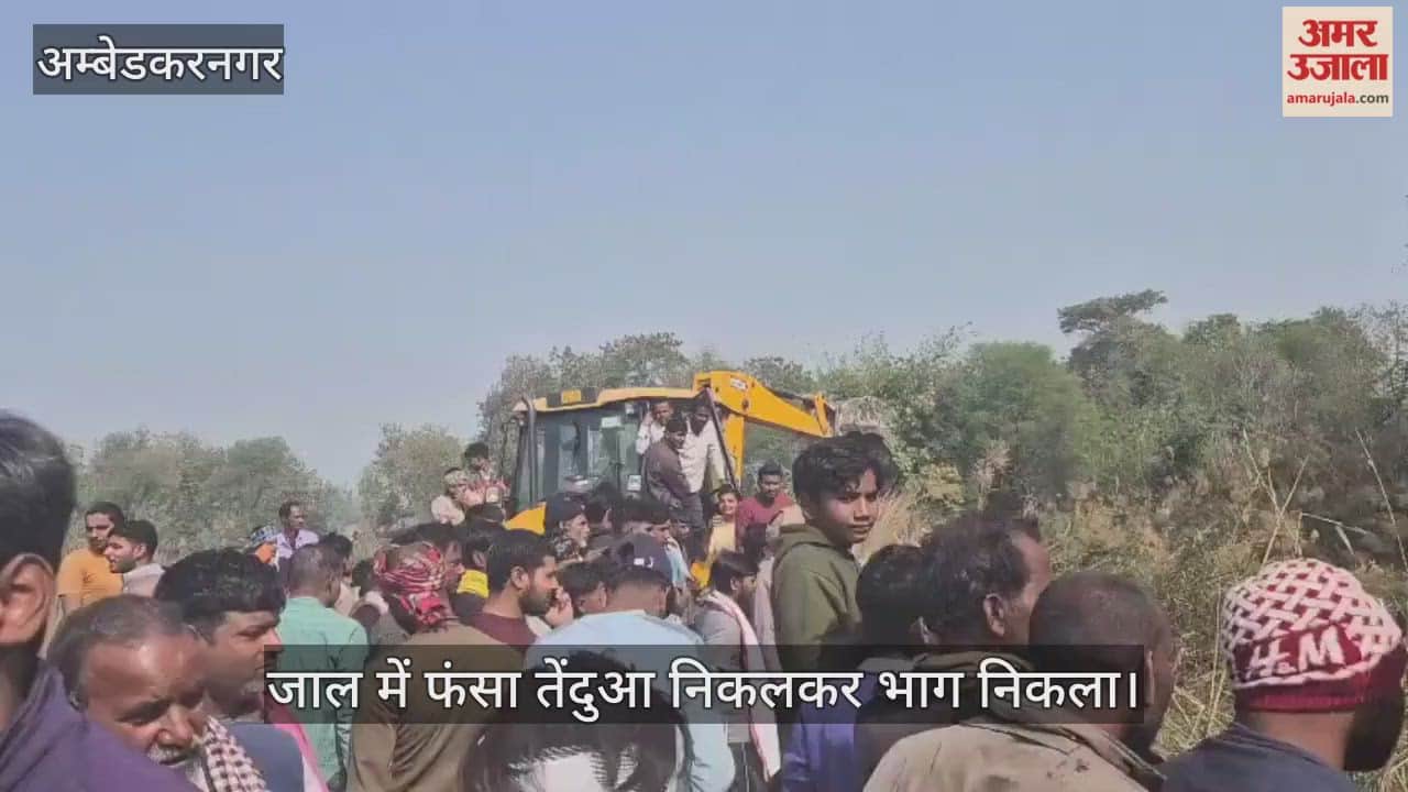 अंबेडकरनगर में जंगली सुअर के जाल में फंसा तेंदुआ, वन विभाग की टीम पहुंचने से पहले भाग निकला