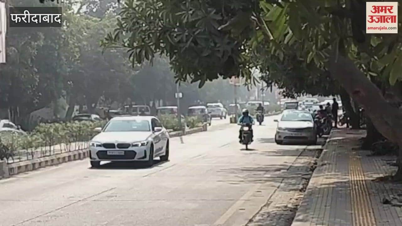 Fear of accident due to uprooted tree roots on roadside in Faridabad