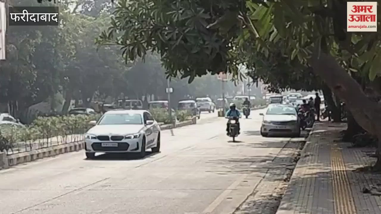 Fear of accident due to uprooted tree roots on roadside in Faridabad